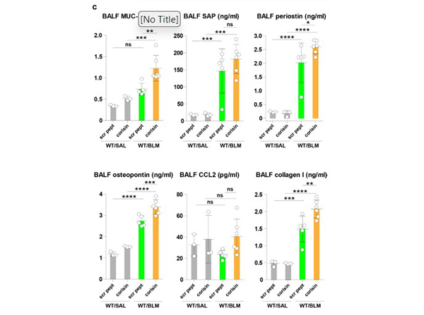 ELISA using Collagen Type I Biotin
